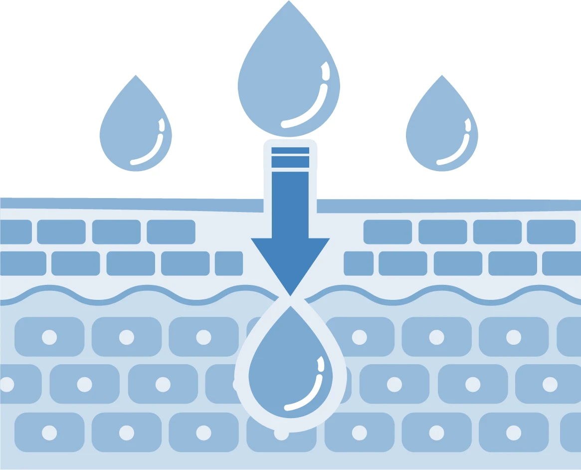 特徴1のイメージ