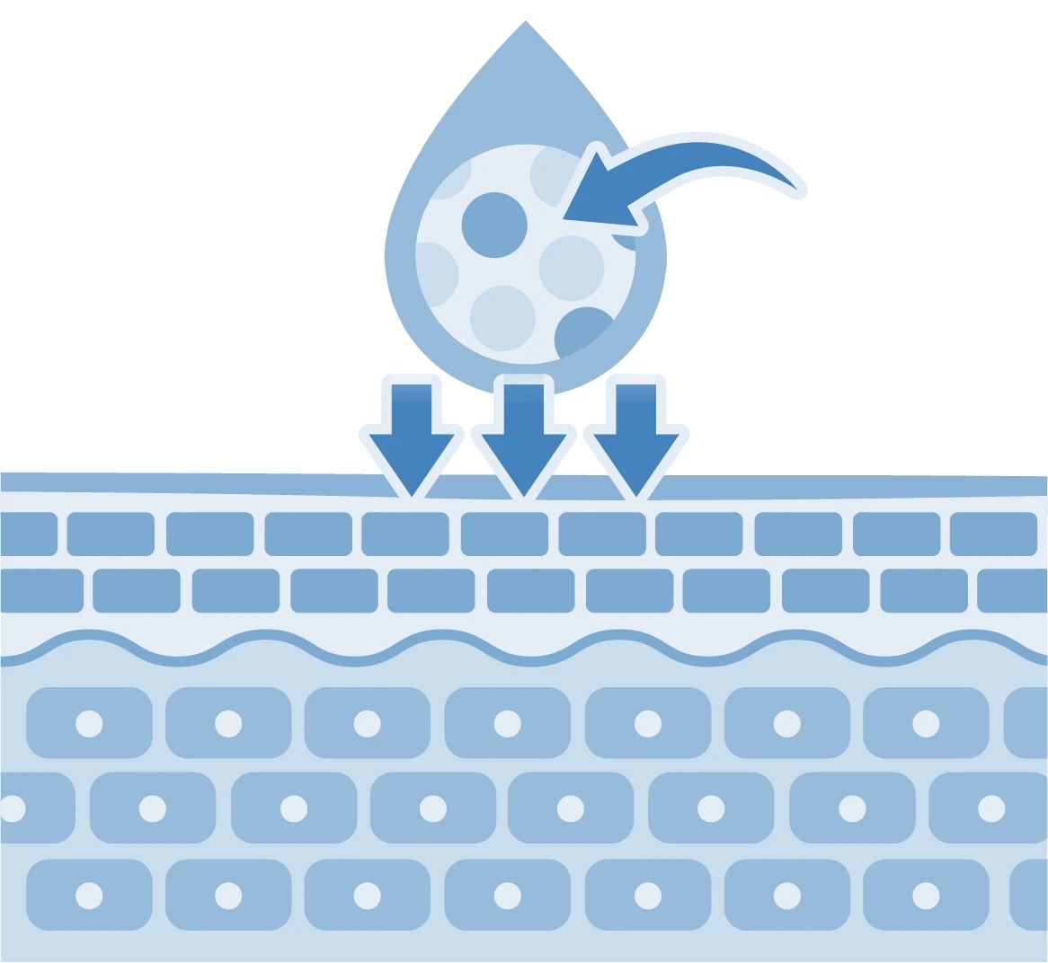 特徴2のイメージ